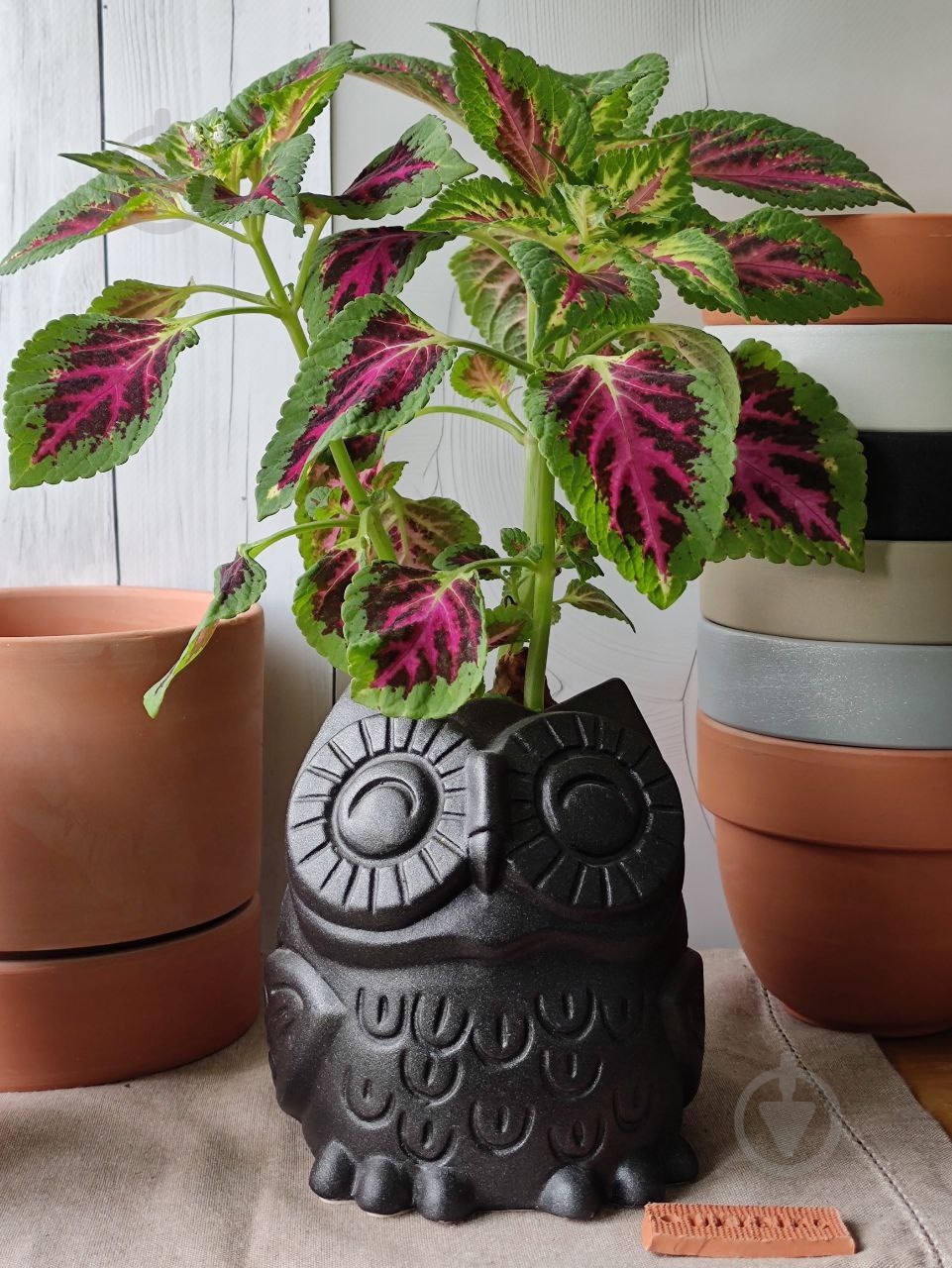 Кашпо керамическое Kerama tato Сова 14 см черная - фото 7