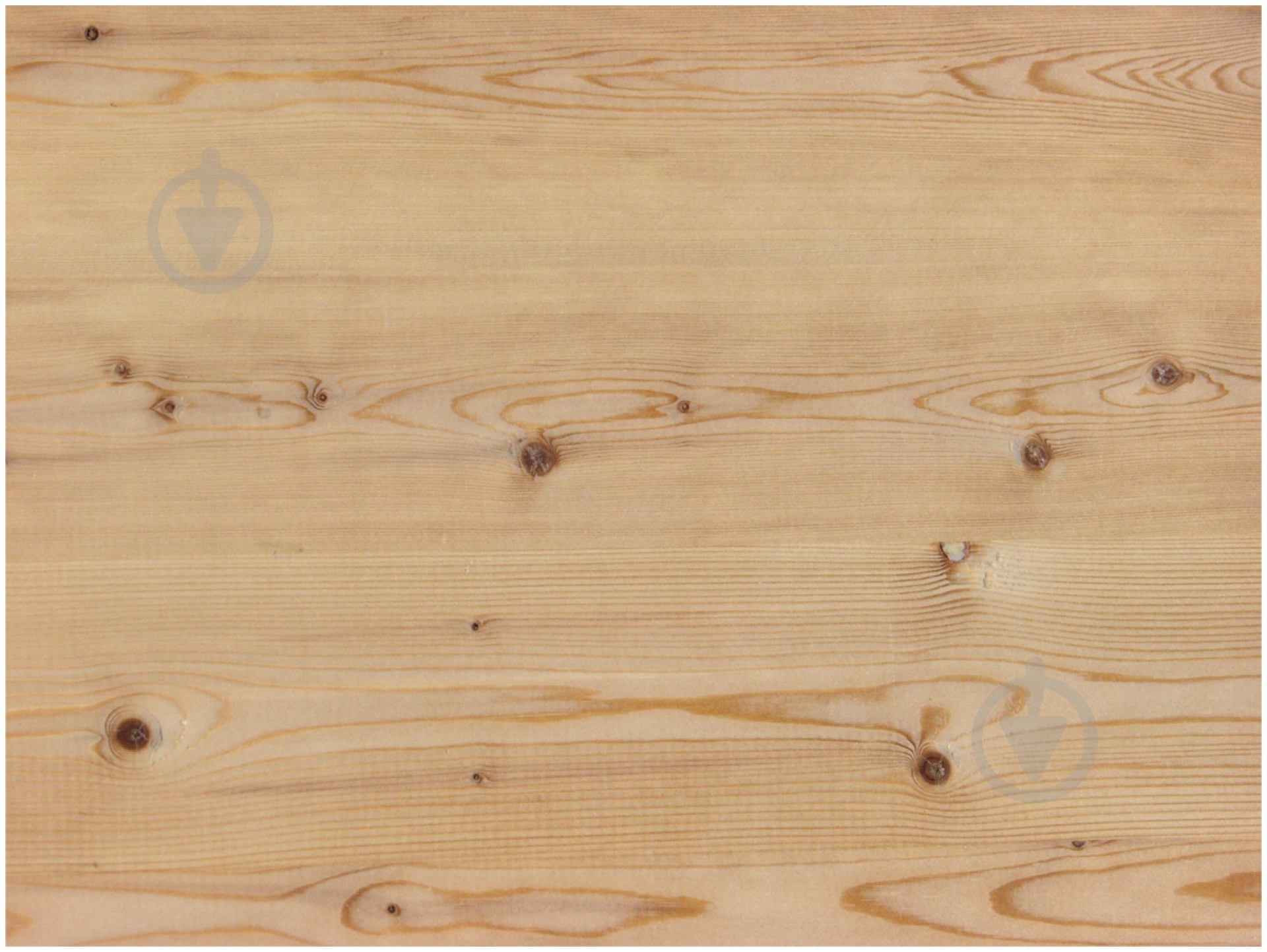 Фанера ФСФ 2500x1250x9 мм (сорт СС) - фото 1