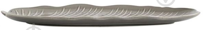 Блюдо Limited Edition LEAF GREY 30x16.8 см (B010785) - фото 2 Блюдо Limited Edition LEAF GREY 30x16.8 см (B010785) - фото 2