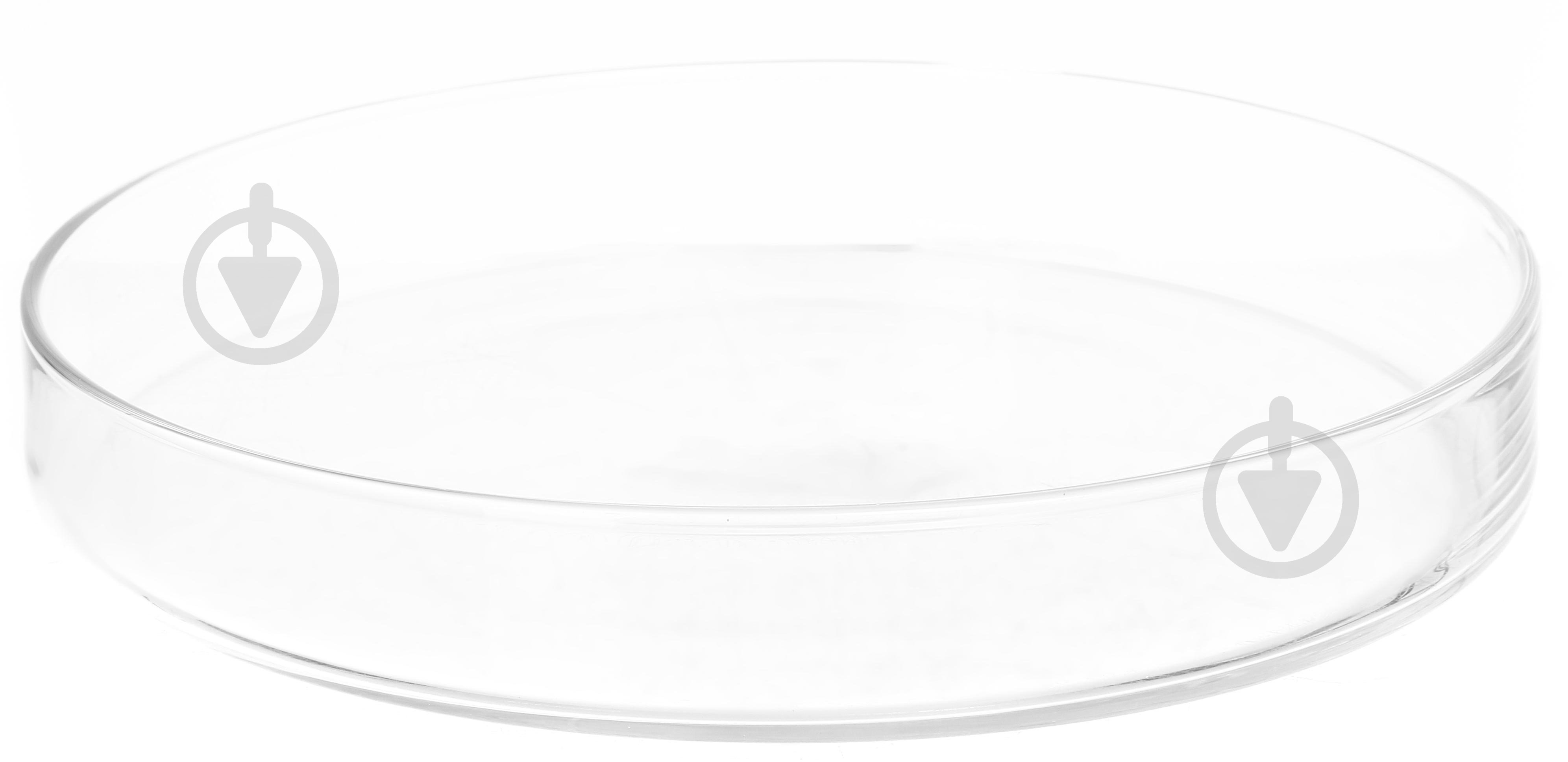 Блюдо з кришкою Wrzesniak Glassworks Funny 24 см 14-3300 - фото 2