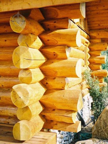 Грунтовка Bionic House антисептик с повишенним содержанием масла 2,8 л - фото 3