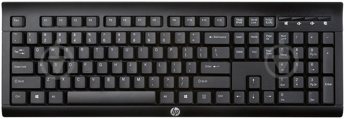 Клавиатура HP K2500 Wireless Keyboard (E5E78AA) black - фото 1