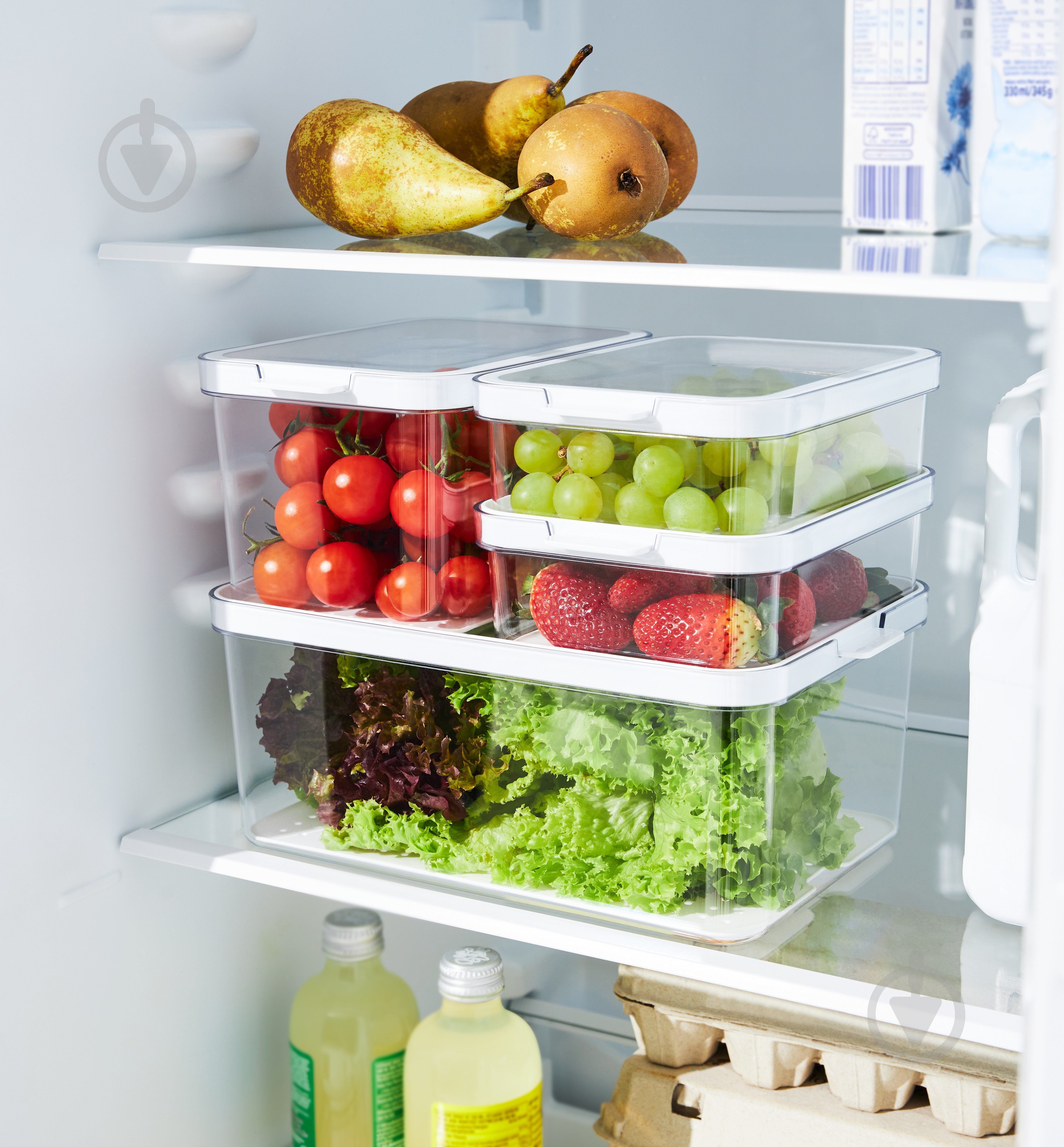 Контейнер для пищевых продуктов с крышкой Rotho CAUMA 4,65 л прозрачный/белый - фото 3 Контейнер для пищевых продуктов с крышкой Rotho CAUMA 4,65 л прозрачный/белый - фото 3