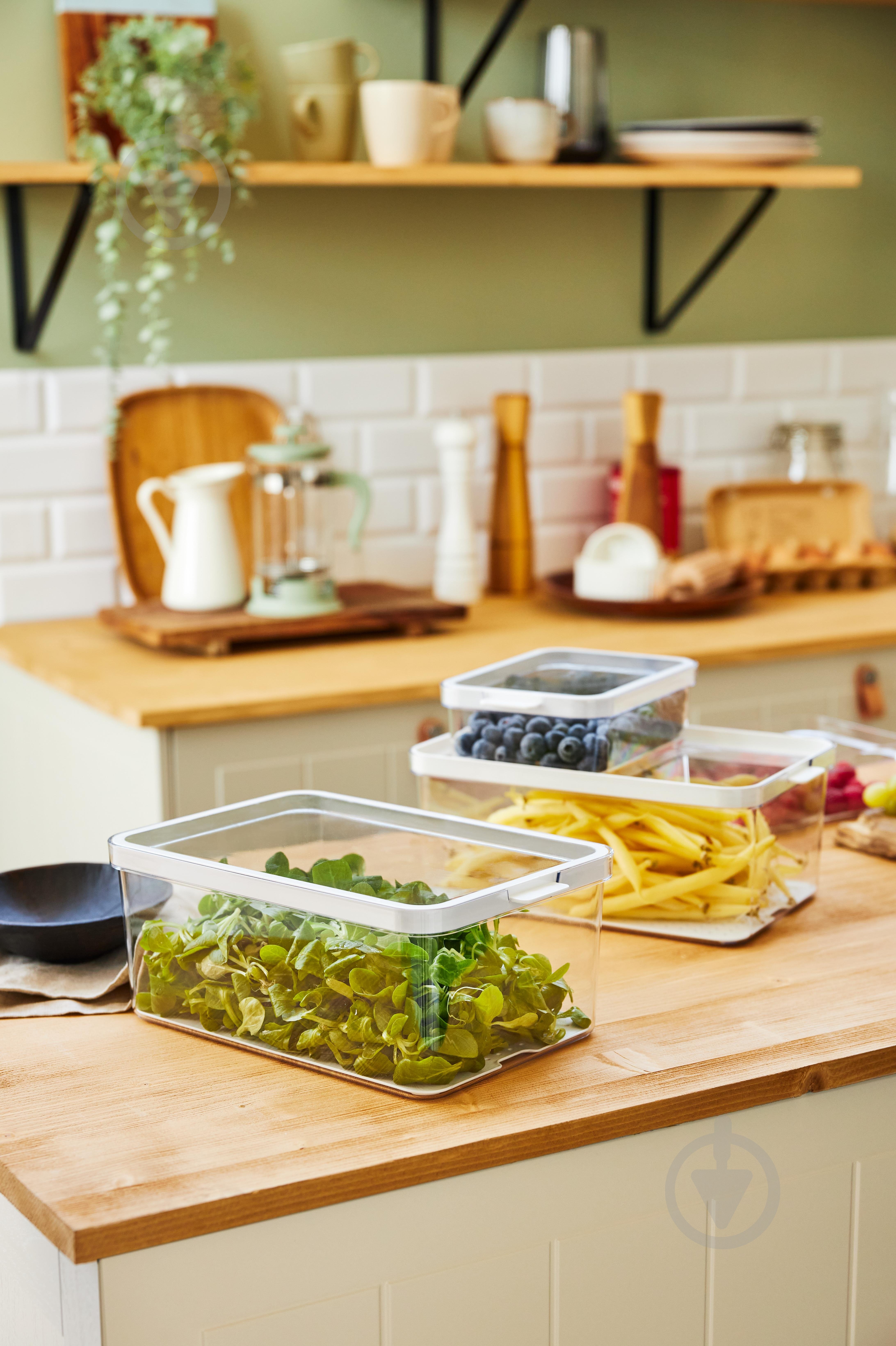 Контейнер для пищевых продуктов с крышкой Rotho CAUMA 4,65 л прозрачный/белый - фото 2 Контейнер для пищевых продуктов с крышкой Rotho CAUMA 4,65 л прозрачный/белый - фото 2