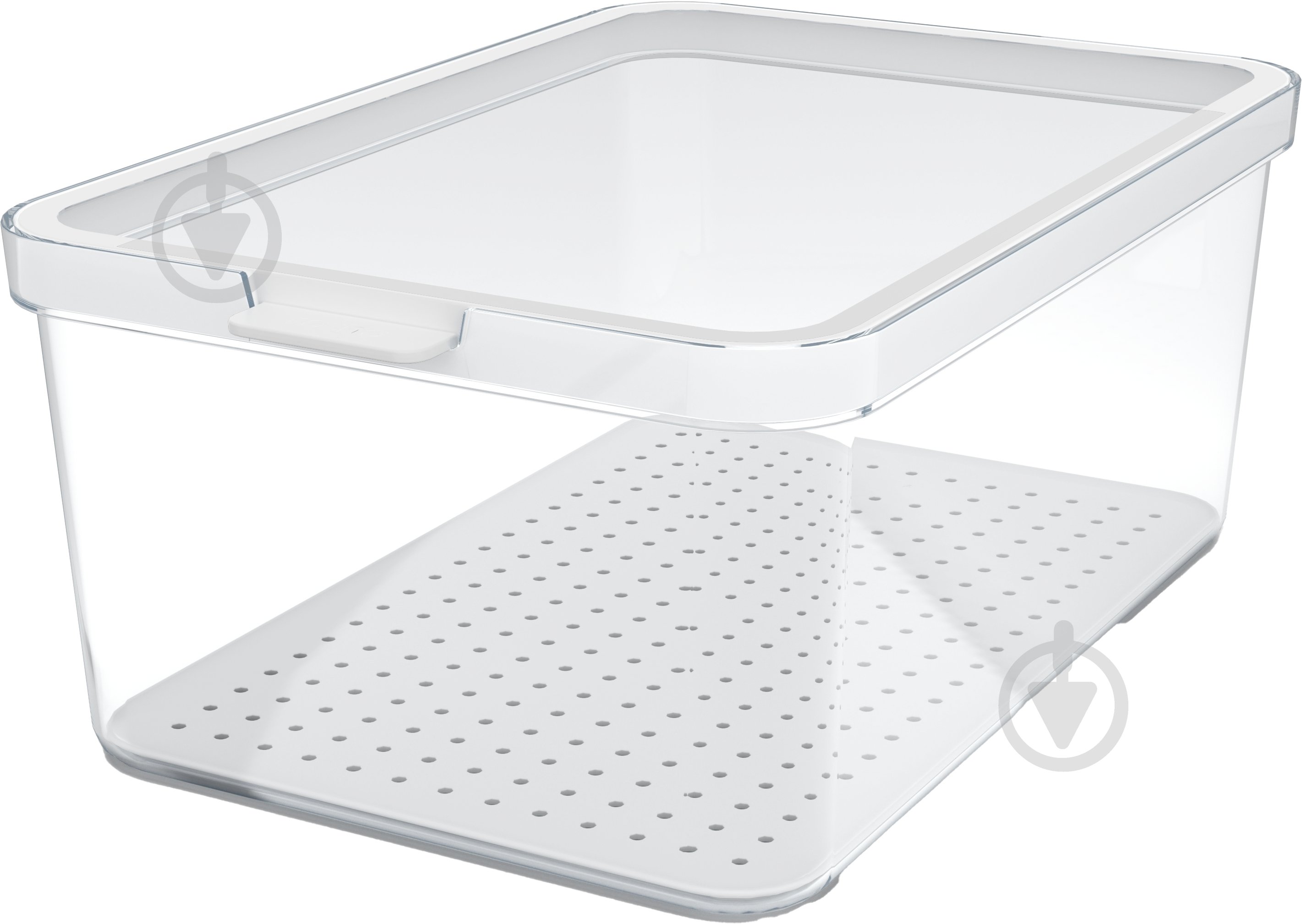 Контейнер для пищевых продуктов с крышкой Rotho CAUMA 4,65 л прозрачный/белый - фото 1 Контейнер для пищевых продуктов с крышкой Rotho CAUMA 4,65 л прозрачный/белый - фото 1