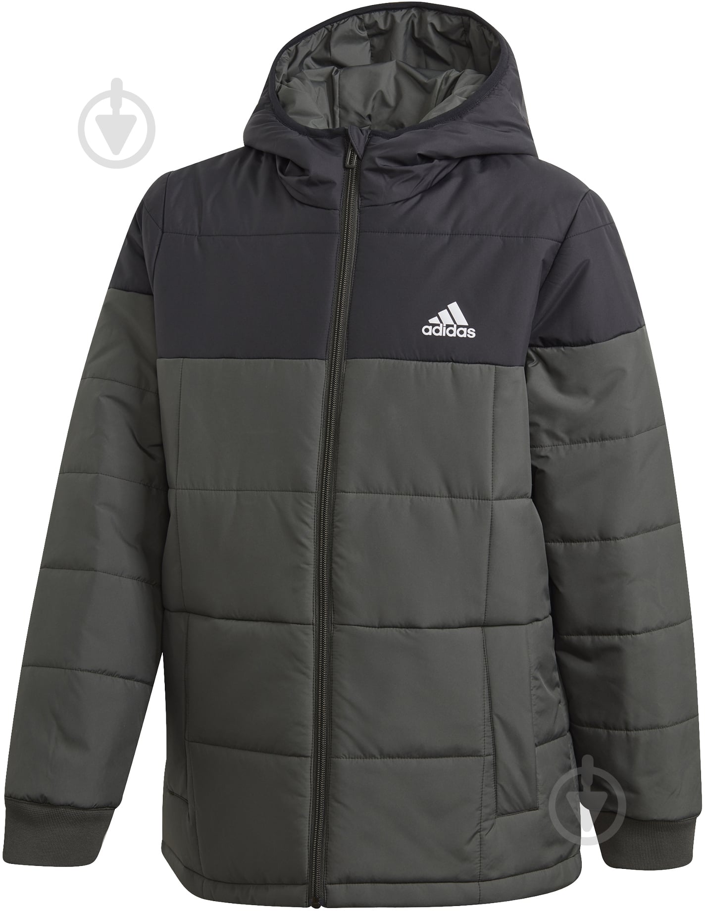 Куртка зимняя Adidas YK J PADDING GG3720 зеленая - фото 1 Куртка зимняя Adidas YK J PADDING GG3720 зеленая - фото 1