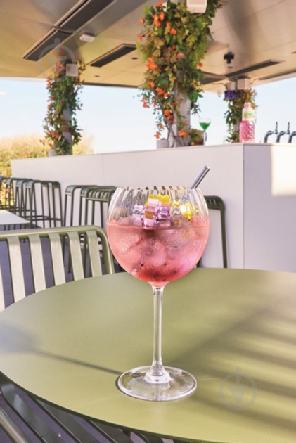 Набор бокалов Chef&Sommelier Symetrie Q8707/1 580 мл 6 шт. - фото 4