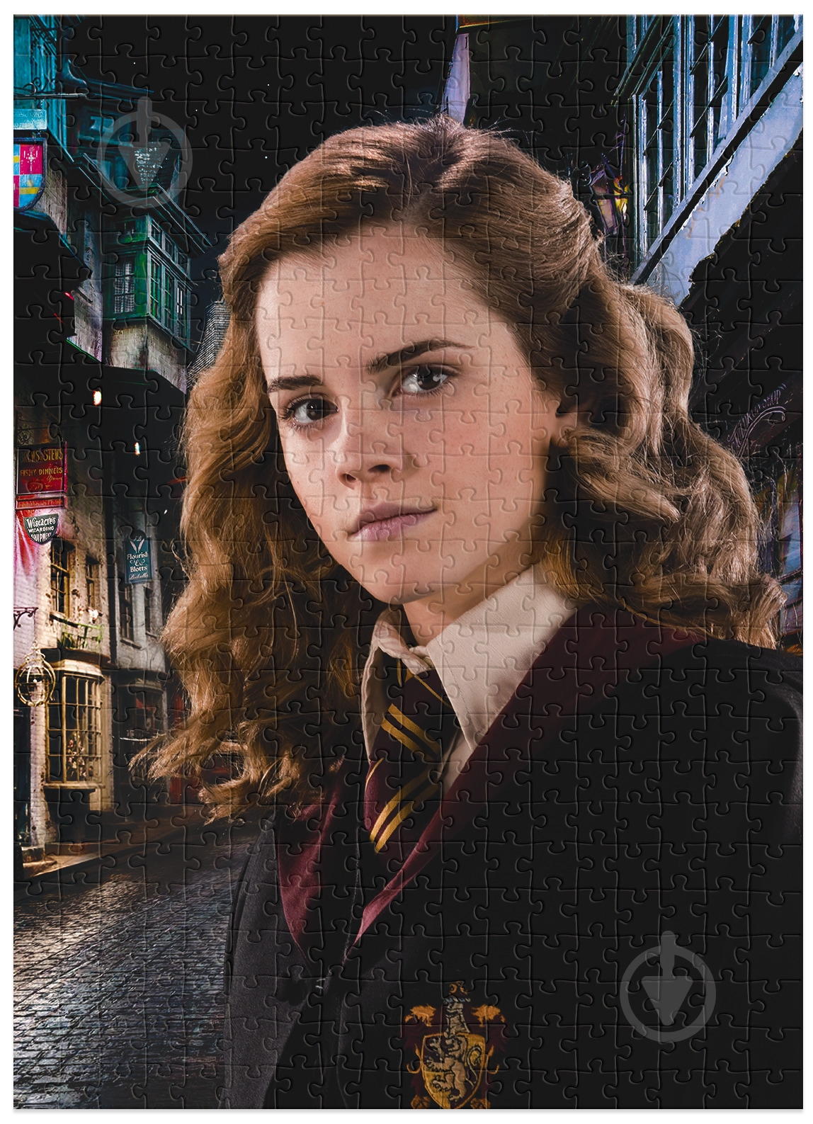 Пазл DoDo Hard-M Harry Potter. Портрет Гермионы 450 элементов 200577 - фото 4 Пазл DoDo Hard-M Harry Potter. Портрет Гермионы 450 элементов 200577 - фото 4