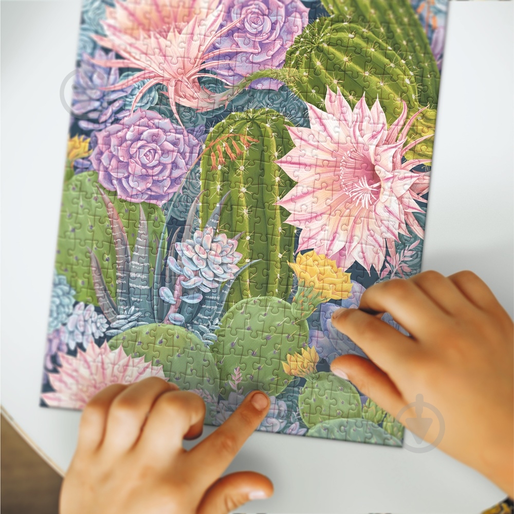 Пазл DoDo Easy-L Ботанік а. Кактуси та сукуленти 400 елементів 300613 - фото 4