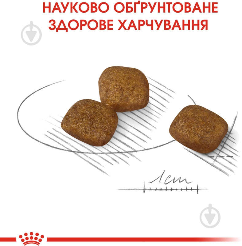 Корм сухий для дорослих собак для малих порід Royal Canin MINI COAT CARE (Міні Коат Кер), 3 кг 3 кг - фото 5