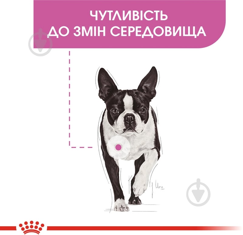 Корм сухой для взрослых собак для малых пород Royal Canin MINI RELAX CARE (Мини Релакс Кер), 3 кг 3 кг - фото 3