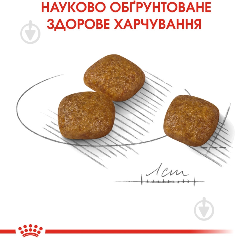Корм сухой для взрослых собак для малых пород Royal Canin MINI URINARY CARE (Мини Уринари Кер), 1 кг 1 кг - фото 5