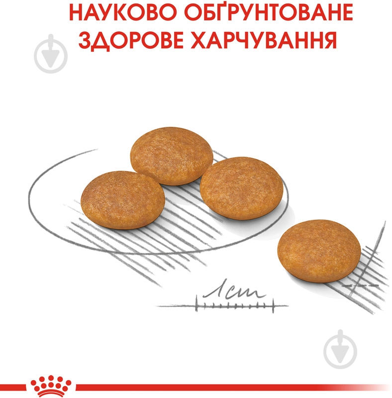 Корм сухой для взрослых собак для малых пород Royal Canin MINI DERMACOMFORT (Мини Дермакомфорт), 3 кг 3 кг - фото 5 Корм сухой для взрослых собак для малых пород Royal Canin MINI DERMACOMFORT (Мини Дермакомфорт), 3 кг 3 кг - фото 5