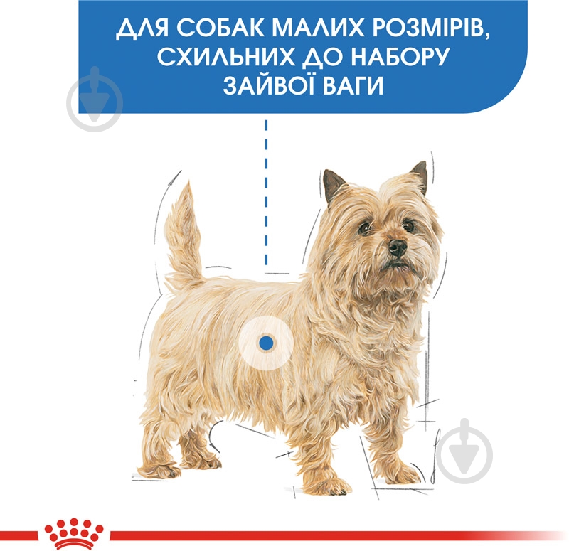Корм сухой для взрослых собак для малых пород Royal Canin MINI LIGHT WEIGHT CARE (Мини Лайт Вейт Кер), 3 кг 3 кг - фото 3