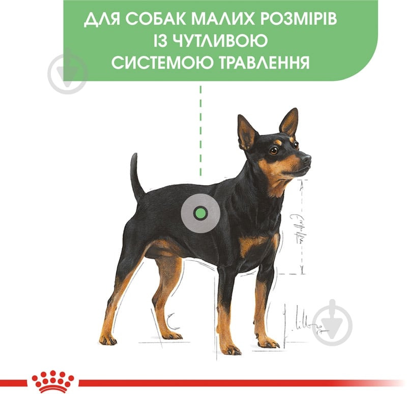 Корм сухой Royal Canin MINI DIGESTIVE CARE (Мини Дайджестив Кер), 1 кг 1 кг - фото 2