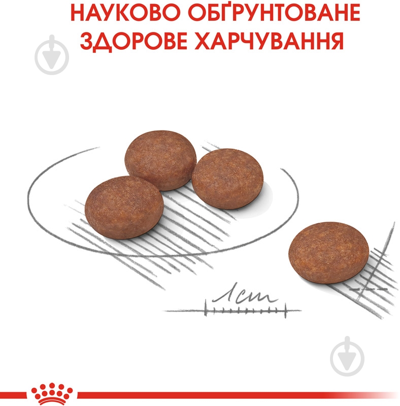 Корм сухий Royal Canin MINI DIGESTIVE CARE (Міні Дайджестів Кер), 3 кг 3 кг - фото 4