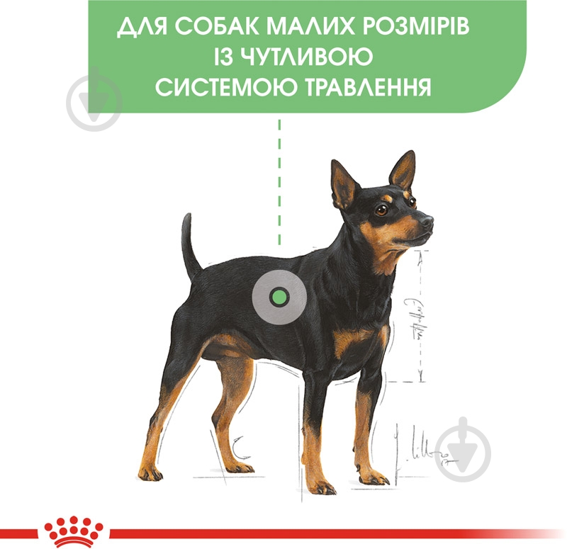Корм сухий Royal Canin MINI DIGESTIVE CARE (Міні Дайджестів Кер), 3 кг 3 кг - фото 2