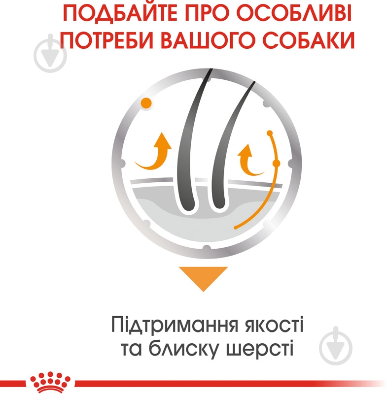 Корм вологий для дорослих собак для усіх порід Royal Canin COAT BEAUTY LOAF (Ол Сайзес Коат Кер), пауч, 85 г 85 г - фото 4