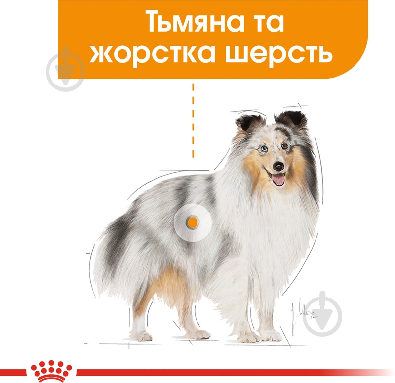 Корм вологий для дорослих собак для усіх порід Royal Canin COAT BEAUTY LOAF (Ол Сайзес Коат Кер), пауч, 85 г 85 г - фото 3