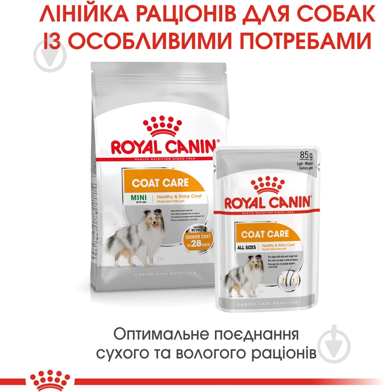 Корм вологий для дорослих собак для усіх порід Royal Canin COAT BEAUTY LOAF (Ол Сайзес Коат Кер), пауч, 85 г 85 г - фото 6