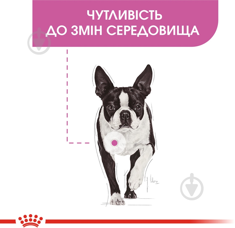 Корм влажный для взрослых собак для всех пород Royal Canin RELAX CARE (Ол Сайзес Релакс Кер), пауч, 85 г 85 г - фото 3 Корм влажный для взрослых собак для всех пород Royal Canin RELAX CARE (Ол Сайзес Релакс Кер), пауч, 85 г 85 г - фото 3