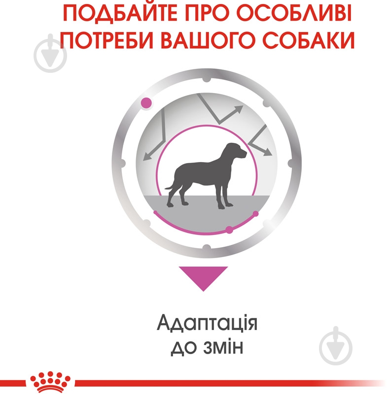 Корм влажный для взрослых собак для всех пород Royal Canin RELAX CARE (Ол Сайзес Релакс Кер), пауч, 85 г 85 г - фото 4 Корм влажный для взрослых собак для всех пород Royal Canin RELAX CARE (Ол Сайзес Релакс Кер), пауч, 85 г 85 г - фото 4