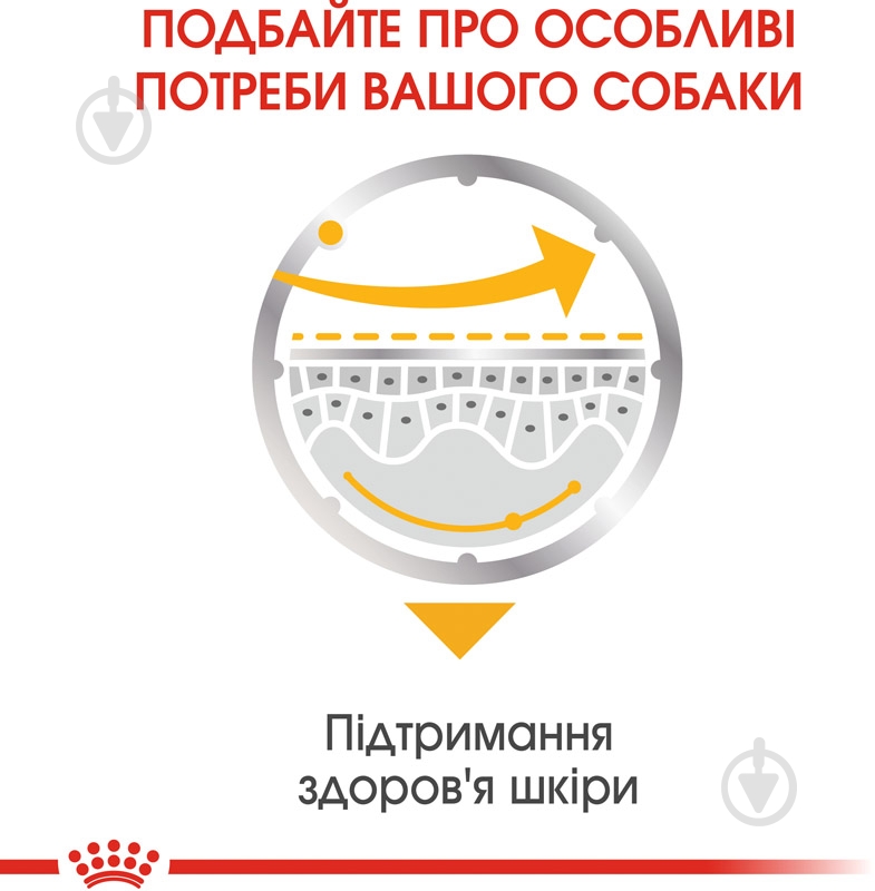 Корм влажный для взрослых собак для всех пород Royal Canin DERMACOMFORT LOAF (Ол Сайзес Дермакомфорт), пауч, 85 г 85 г - фото 4