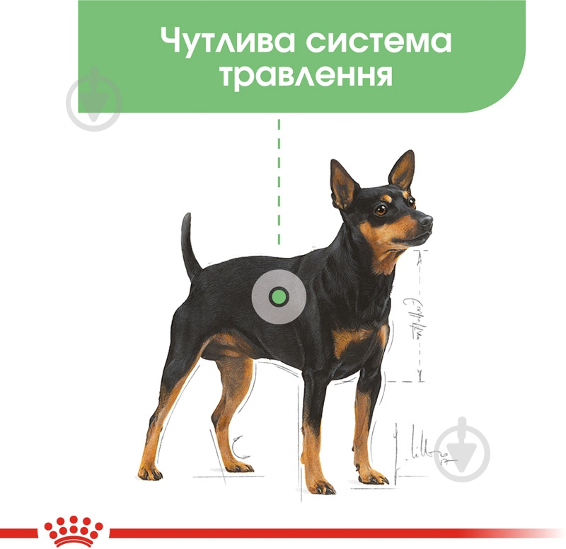 Корм влажный для взрослых собак для всех пород Royal Canin DIGESTIVE CARE LOAF (Ол Сайзес Дайджестів Кер), пауч, 85 г 85 г - фото 3