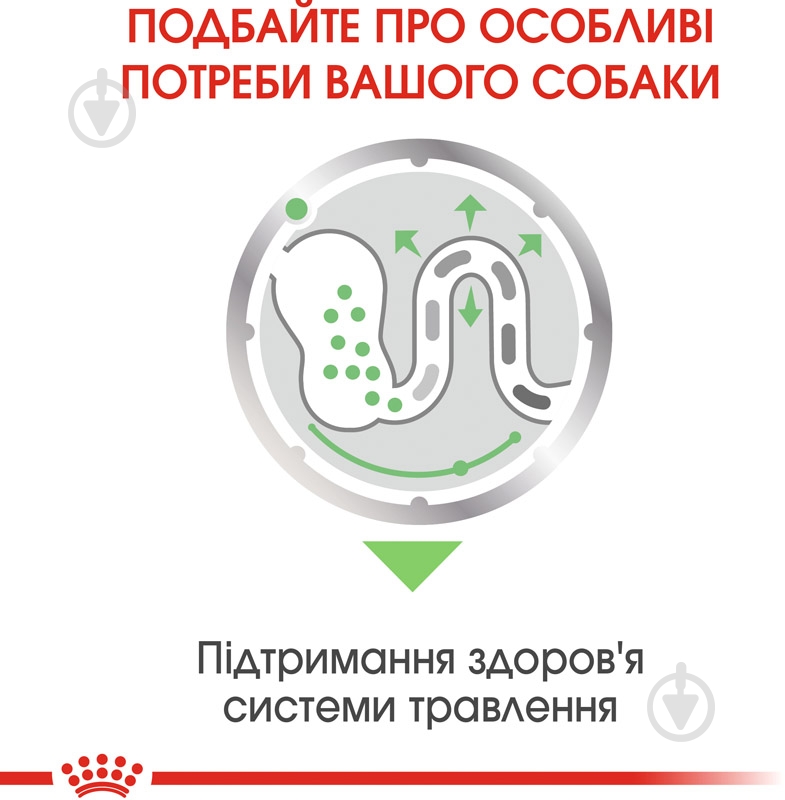 Корм влажный для взрослых собак для всех пород Royal Canin DIGESTIVE CARE LOAF (Ол Сайзес Дайджестів Кер), пауч, 85 г 85 г - фото 4