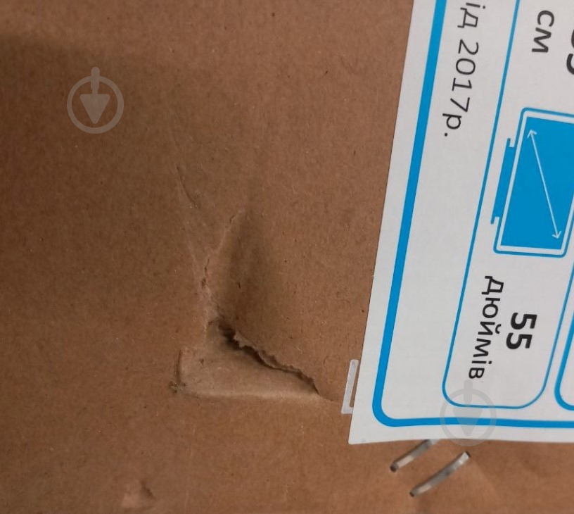 УЦЕНКА! Телевизор TCL 55C845 (УЦ №2449) - фото 24