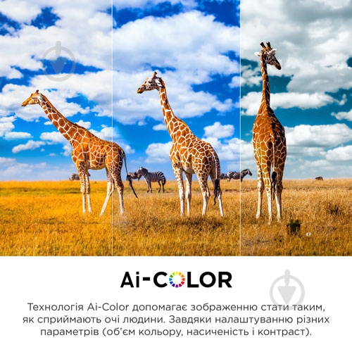 УЦЕНКА! Телевизор TCL 55C845 (УЦ №2449) - фото 21