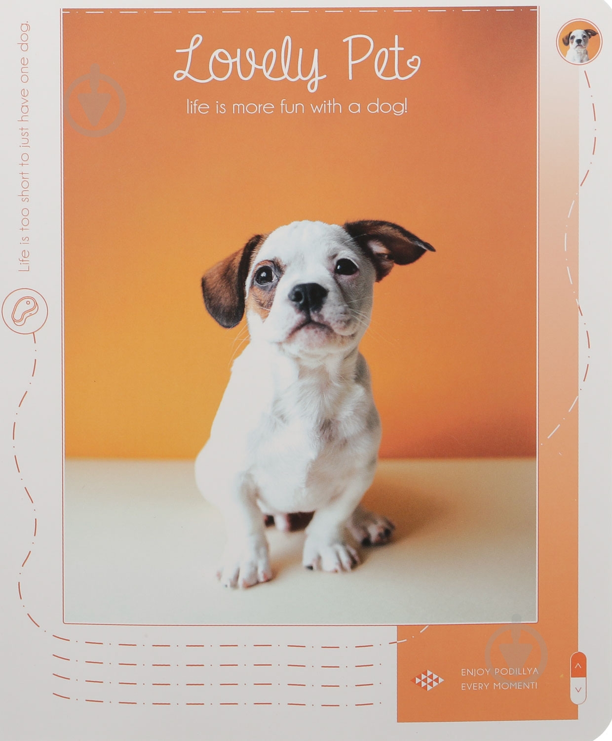 Тетрадь школьная Tadward 12 листов клетка - фото 13