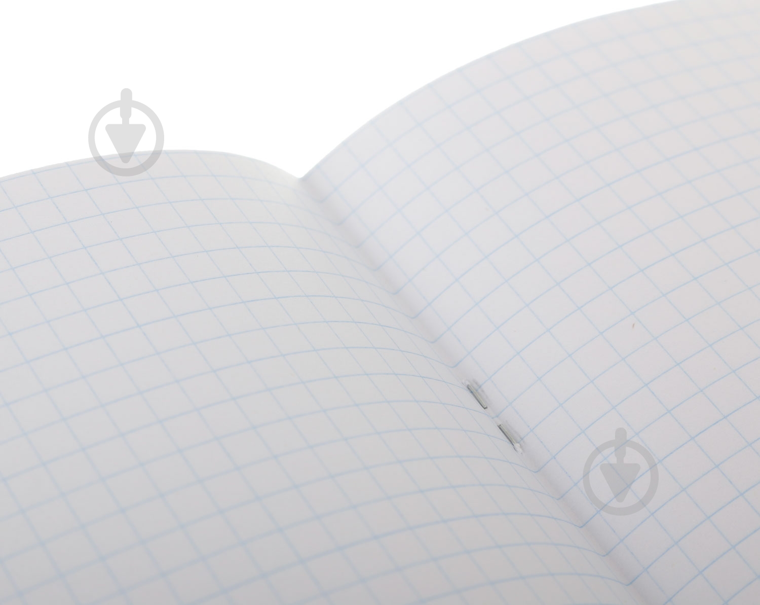 Тетрадь школьная Tadward 12 листов клетка - фото 5