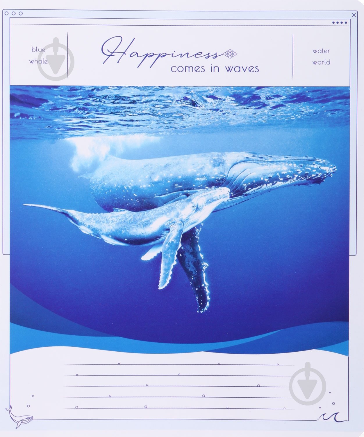 Зошит шкільний Tadward коса - фото 23 Зошит шкільний Tadward коса - фото 23