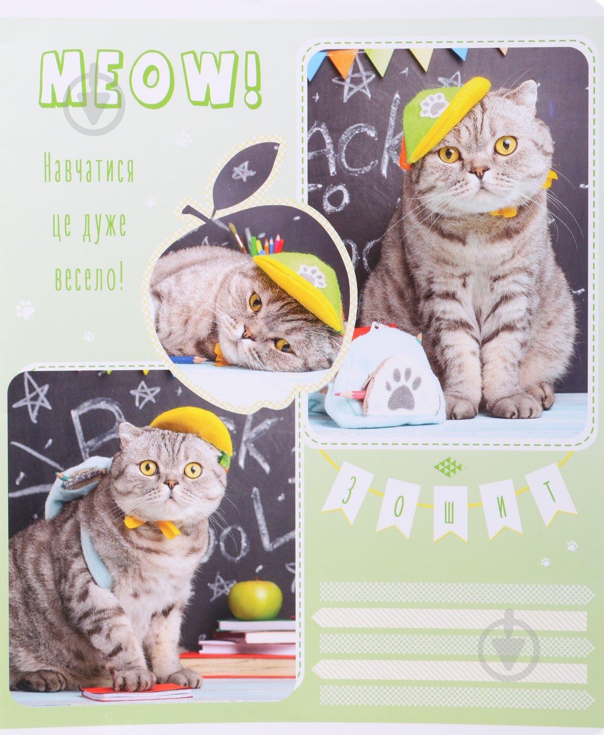 Зошит шкільний Tadward коса - фото 19 Зошит шкільний Tadward коса - фото 19