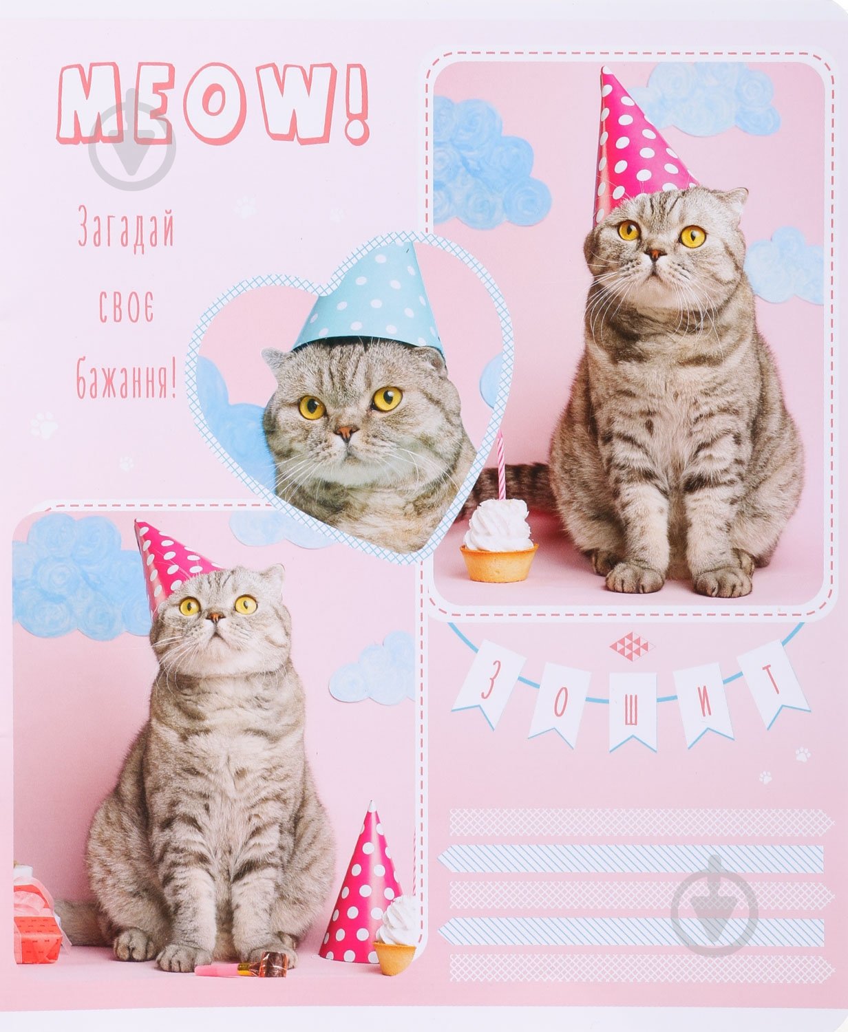 Зошит шкільний Tadward коса - фото 11 Зошит шкільний Tadward коса - фото 11