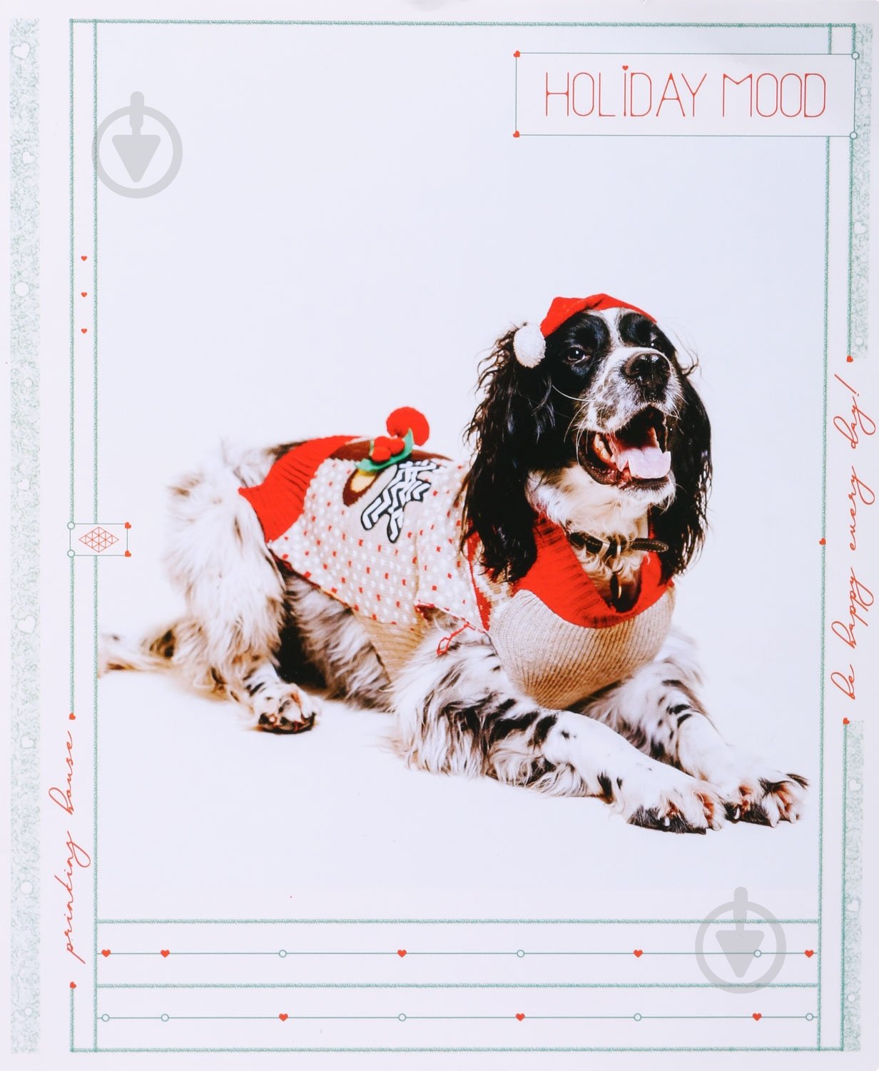 Зошит шкільний Tadward коса - фото 21 Зошит шкільний Tadward коса - фото 21