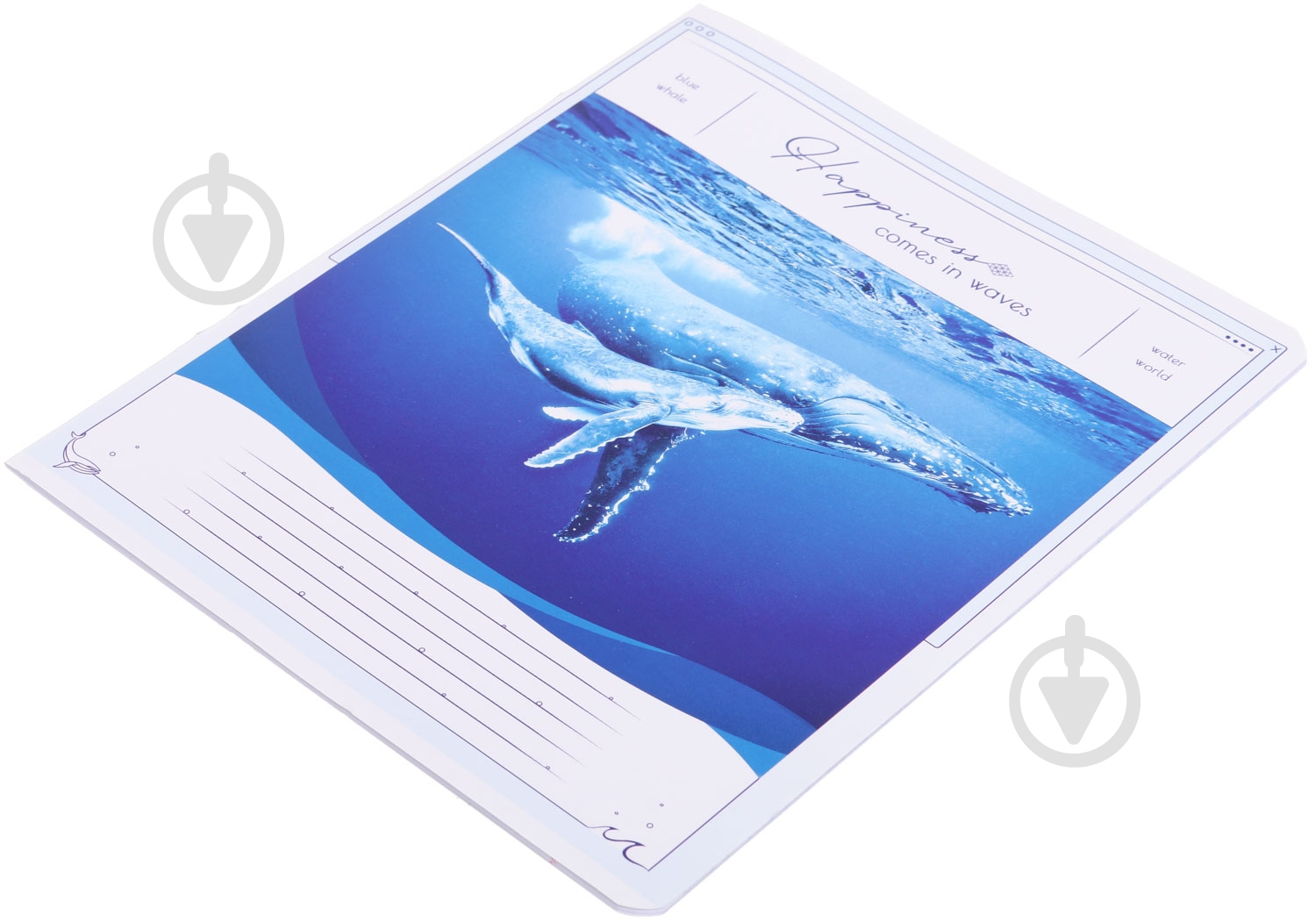 Зошит шкільний Tadward коса - фото 24 Зошит шкільний Tadward коса - фото 24