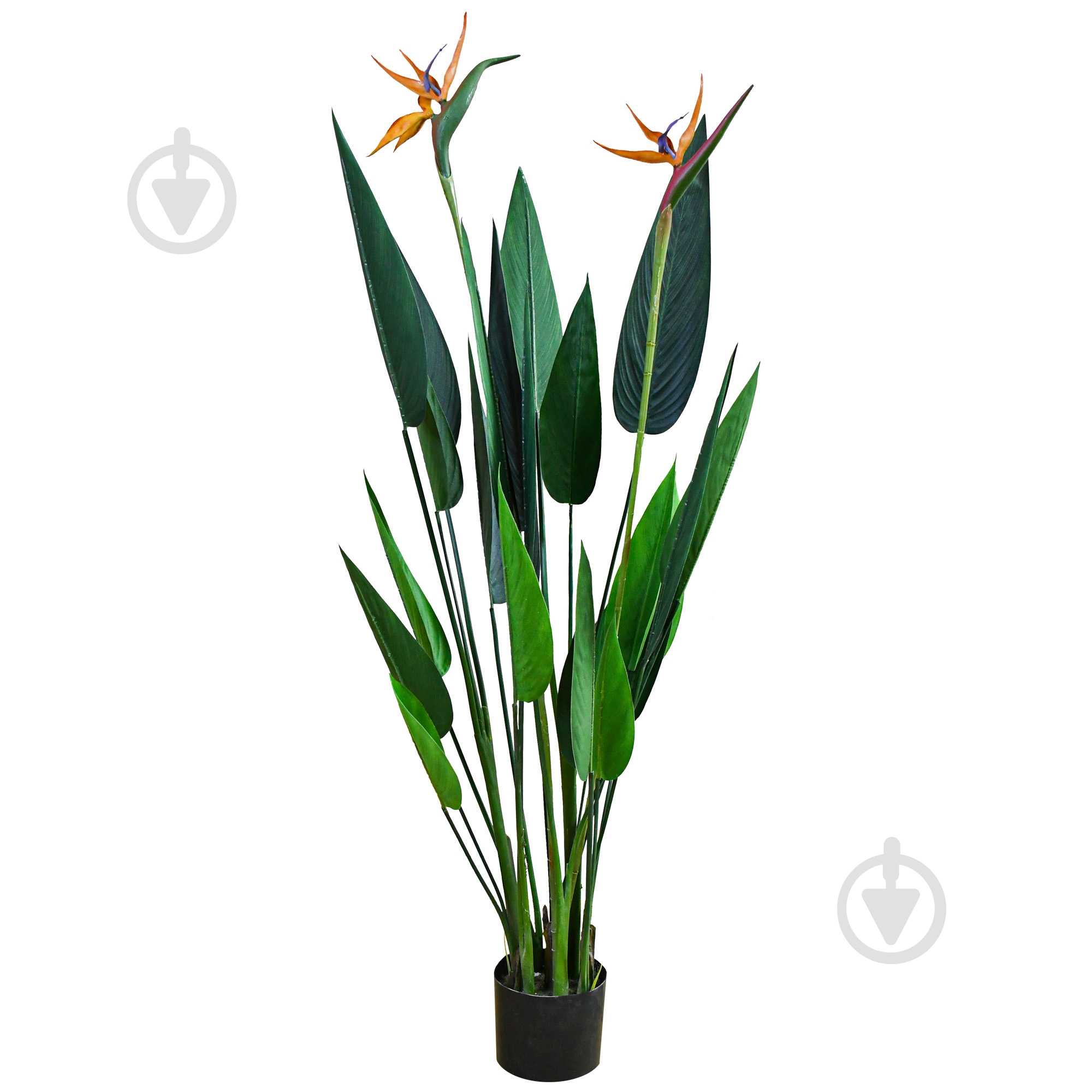 Дерево штучне Strelitzia 120 см TW-25 Engard - фото 1 Дерево штучне Strelitzia 120 см TW-25 Engard - фото 1
