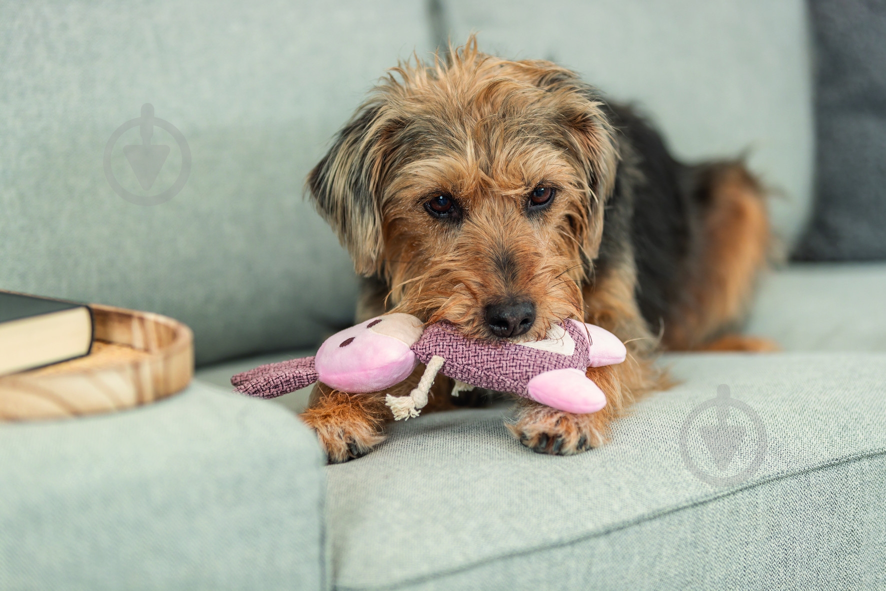 Игрушка для собак Trixie Заяц 24 см - фото 3