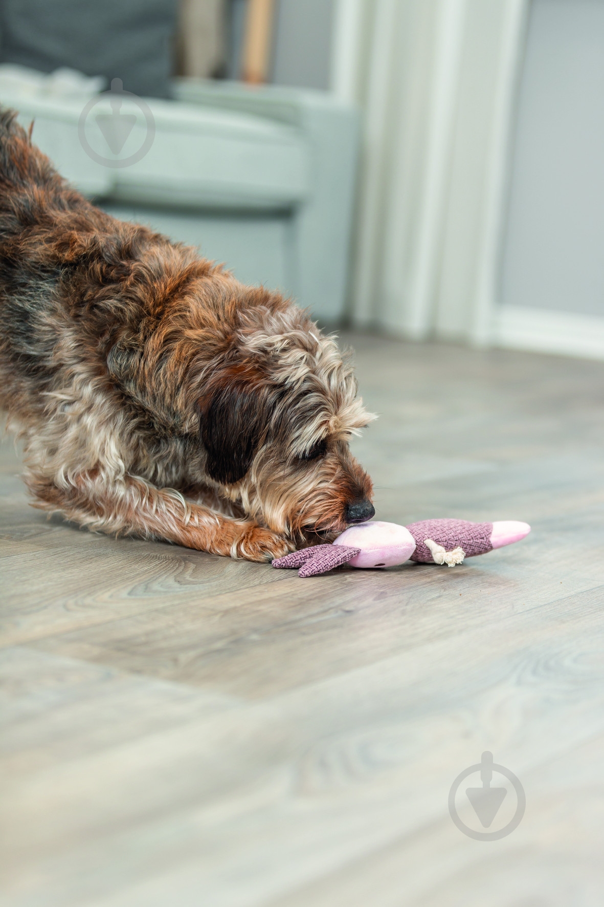 Игрушка для собак Trixie Заяц 24 см - фото 4