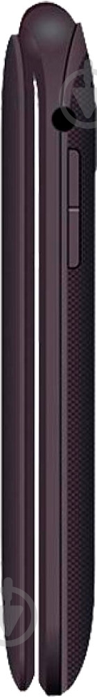 Мобильный телефон Maxcom MM818 black - фото 4