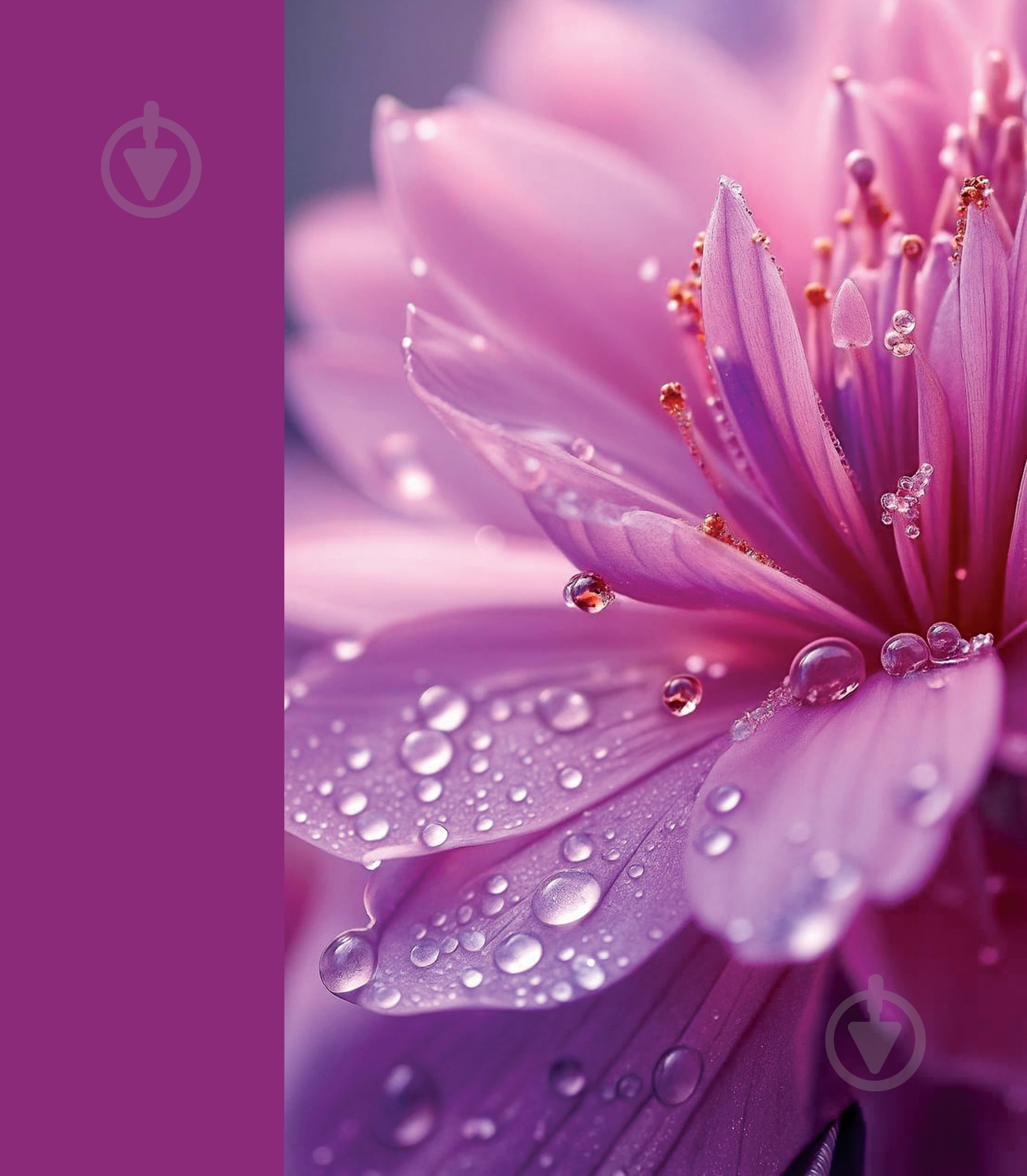 Пакет подарочный для растений "EA+" - фото 2