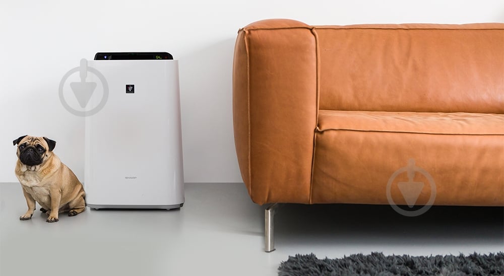 Климатический комплекс Sharp KC-D60EUW - фото 5