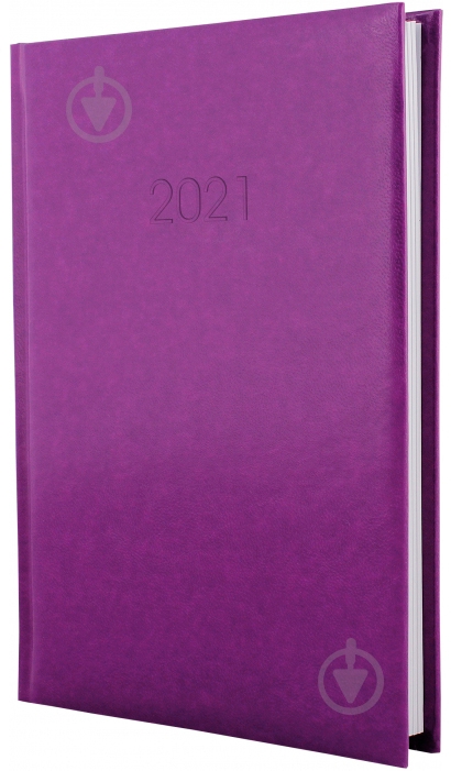 Дневник датированный линия Economix Flash A5 2021 E21606-12 - фото 1 Дневник датированный линия Economix Flash A5 2021 E21606-12 - фото 1