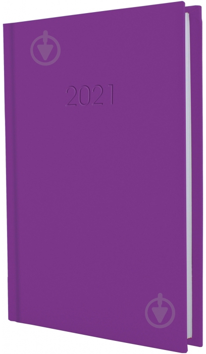 Дневник датированный линия Economix Satin A5 2021 E21612-12 - фото 1