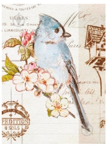 Фотоальбом UFO Bird 20sheet S22x32 - фото 1