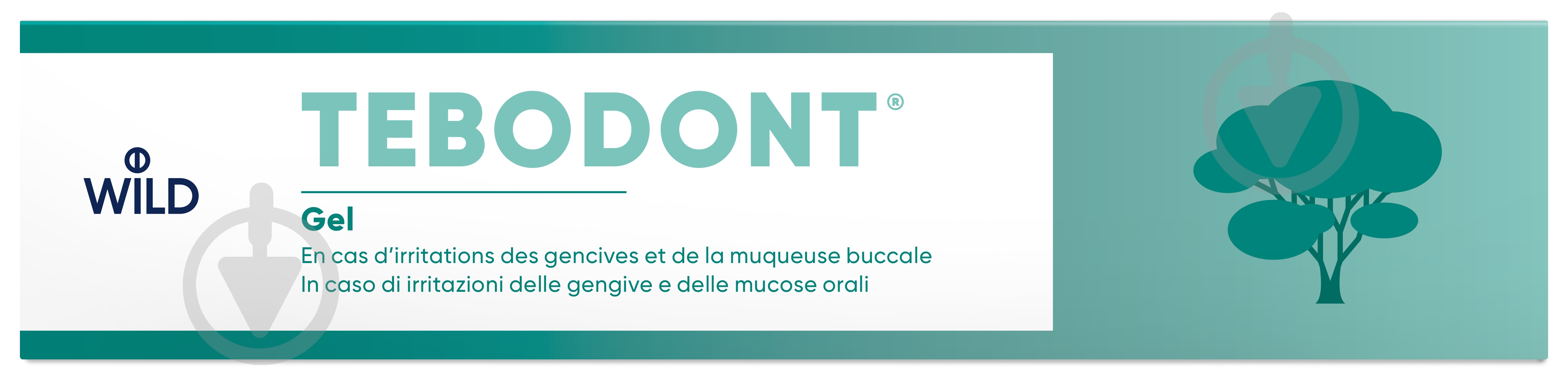 Гель Tebodont с маслом чайного дерева Melaleuca Alternifolia 18 мл 32 г - фото 2 Гель Tebodont с маслом чайного дерева Melaleuca Alternifolia 18 мл 32 г - фото 2