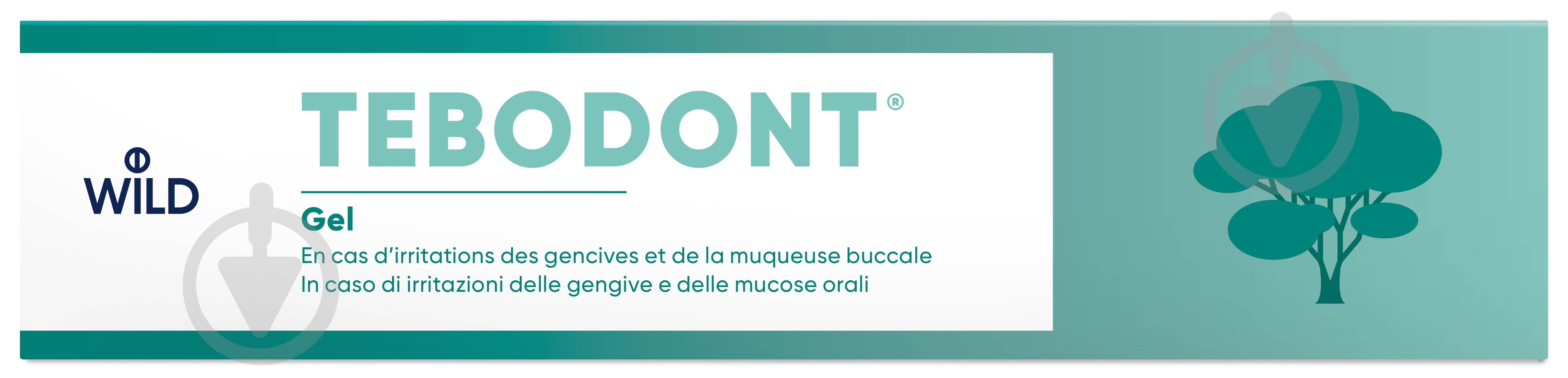 Гель Tebodont с маслом чайного дерева Melaleuca Alternifolia 18 мл 32 г - фото 1 Гель Tebodont с маслом чайного дерева Melaleuca Alternifolia 18 мл 32 г - фото 1