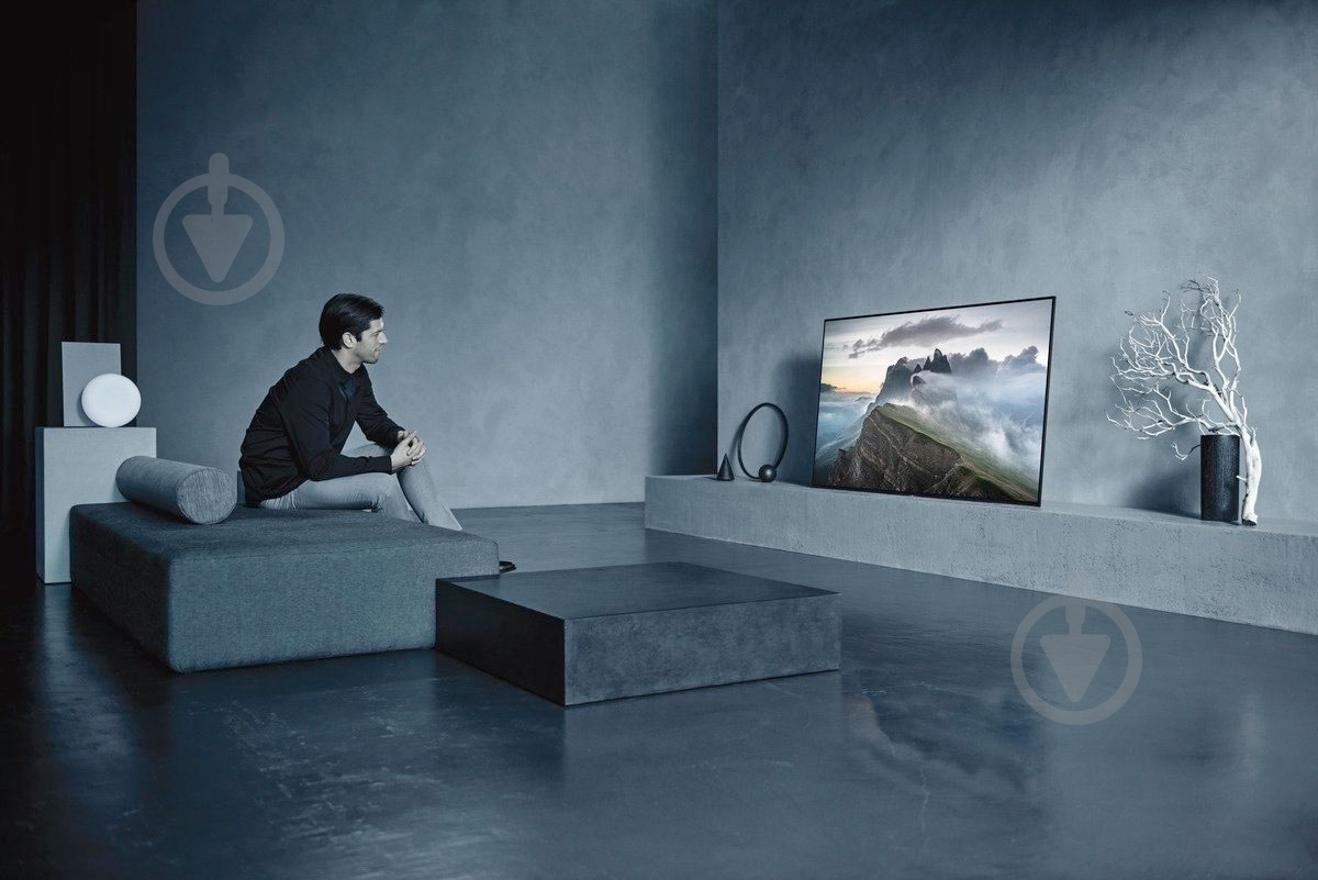 Телевизор Sony KD77A1BAEP - фото 20 Телевизор Sony KD77A1BAEP - фото 20